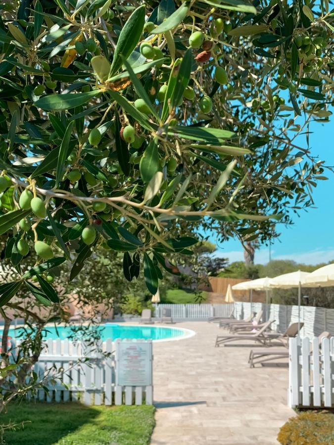 Park Hotel Asinara Stintino Esterno foto